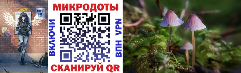 Псилоцибиновые грибы Magic Shrooms  Владикавказ 