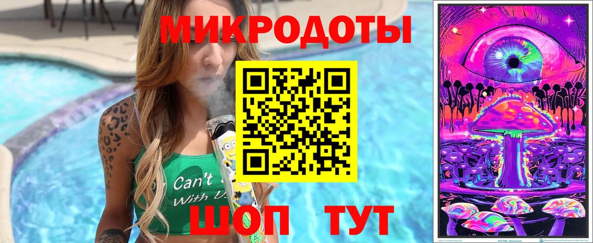 закладка  Владикавказ  Псилоцибиновые грибы GOLDEN TEACHER 