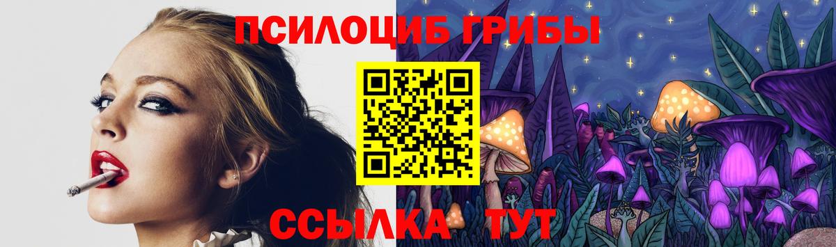 Галлюциногенные грибы GOLDEN TEACHER Владикавказ