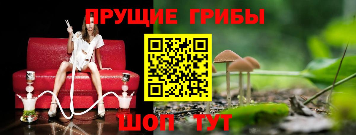 Псилоцибиновые грибы MAGIC MUSHROOMS  Вход с VPN  Псилоцибиновые грибы Psilocybe  Владикавказ 