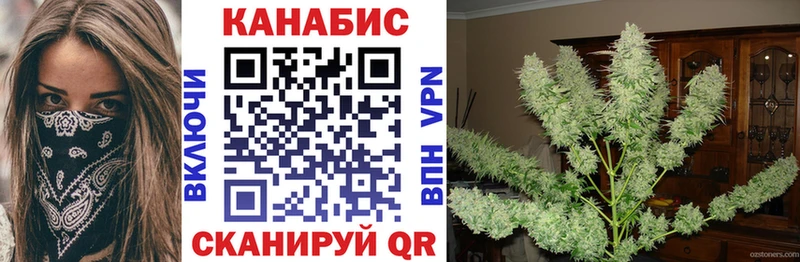наркотики  Владикавказ  Конопля конопля 