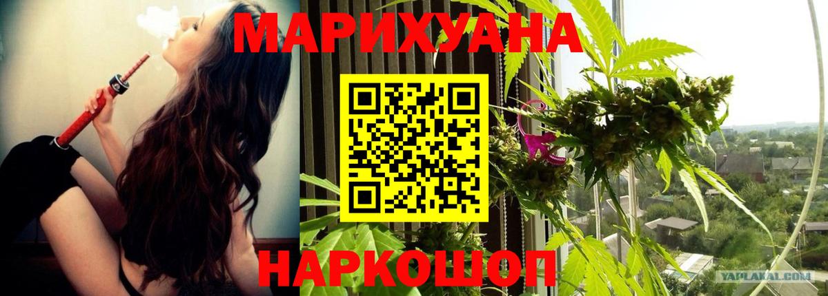 Марихуана OG Kush  Бошки Шишки план  Владикавказ  МАРИХУАНА семена  Конопля марихуана 